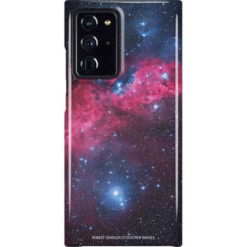 IC 2177 The Seagull Nebula Galaxy Cases